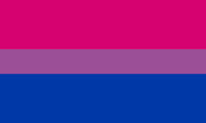 Bisexual- An attraction to two or more genders, with or without a preference. Sometimes I have a preference other times I don't, and it's common for my preference to change.