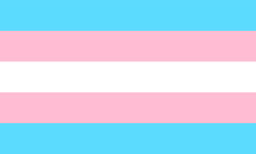 Transgender- Not identifying with the gender assigned at birth. For me, I am genderfluid so even if at times I identify as my birth gender, overall I do not, therefore I identify as trans.