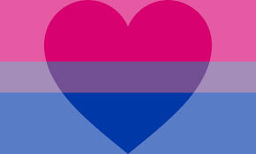 Biromantic- A romantic attraction to two or more genders, with or without a preference. Again, sometimes I have a preference and sometimes I don't, and sometimes my preference changes.